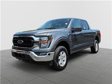 2023 Ford F-150  XLT