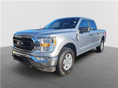 2022 Ford F-150  XLT