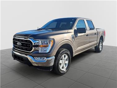 2022 Ford F-150  XLT