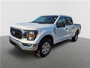 2023 Ford F-150  XLT