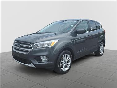 2019 Ford Escape  SE