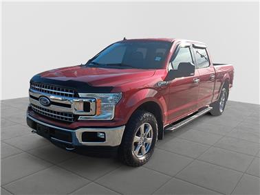2019 Ford F-150  XLT