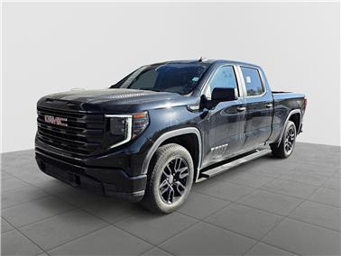 2023 GMC Sierra 1500  Pro