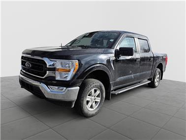2022 Ford F-150  XLT