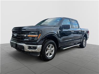 2025 Ford F-150  XLT