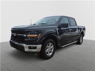 2024 Ford F-150  XLT