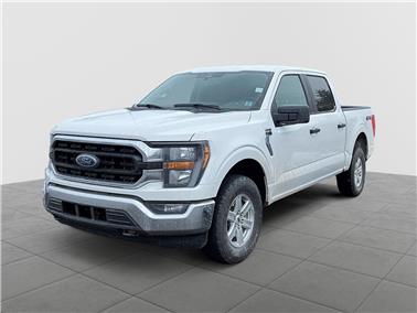 2023 Ford F-150  XLT