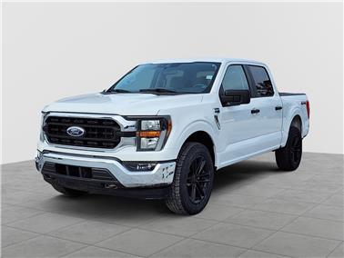 2023 Ford F-150  XLT