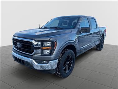 2023 Ford F-150  XLT