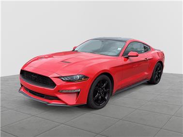 2019 Ford Mustang  EcoBoost