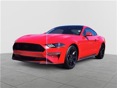 2019 Ford Mustang  EcoBoost