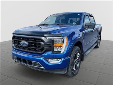 2022 Ford F-150  XLT