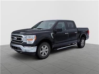 2021 Ford F-150  XLT