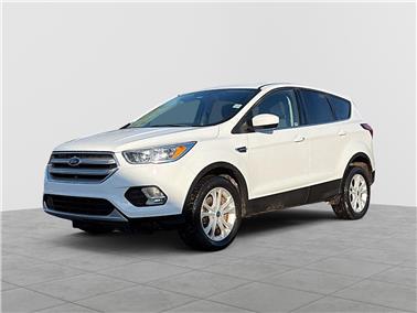 2019 Ford Escape  SE