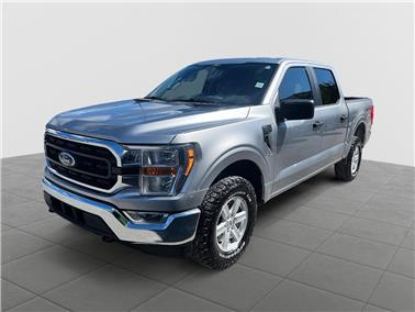 2022 Ford F-150  XLT