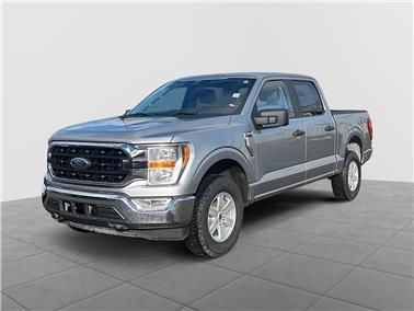 2022 Ford F-150  XLT