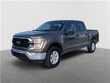 2022 Ford F-150  XLT