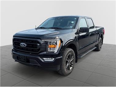 2022 Ford F-150  XLT