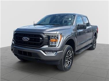 2021 Ford F-150  XLT