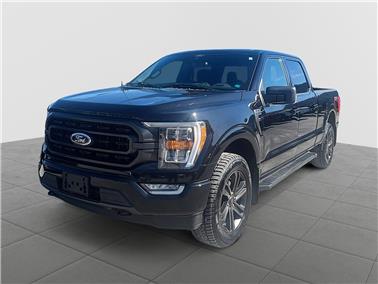 2022 Ford F-150  XLT