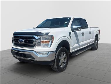 2021 Ford F-150  XLT