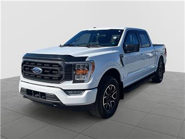 2022 Ford F-150  XLT