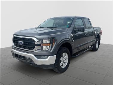 2023 Ford F-150  XLT
