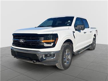 2024 Ford F-150  XLT