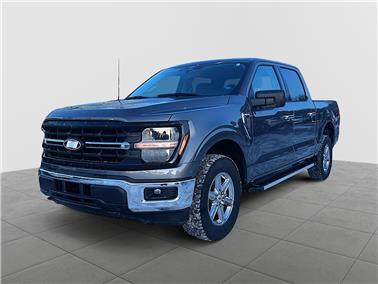 2025 Ford F-150  XLT