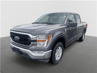 2022 Ford F-150  XLT