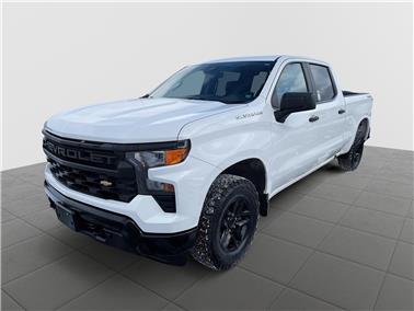 2022 Chevrolet Silverado 1500  Work Truck