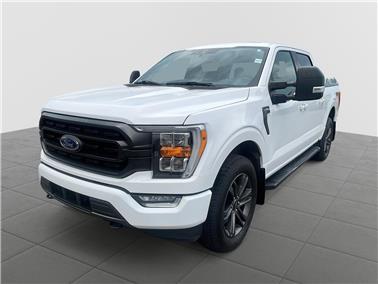2021 Ford F-150  XLT