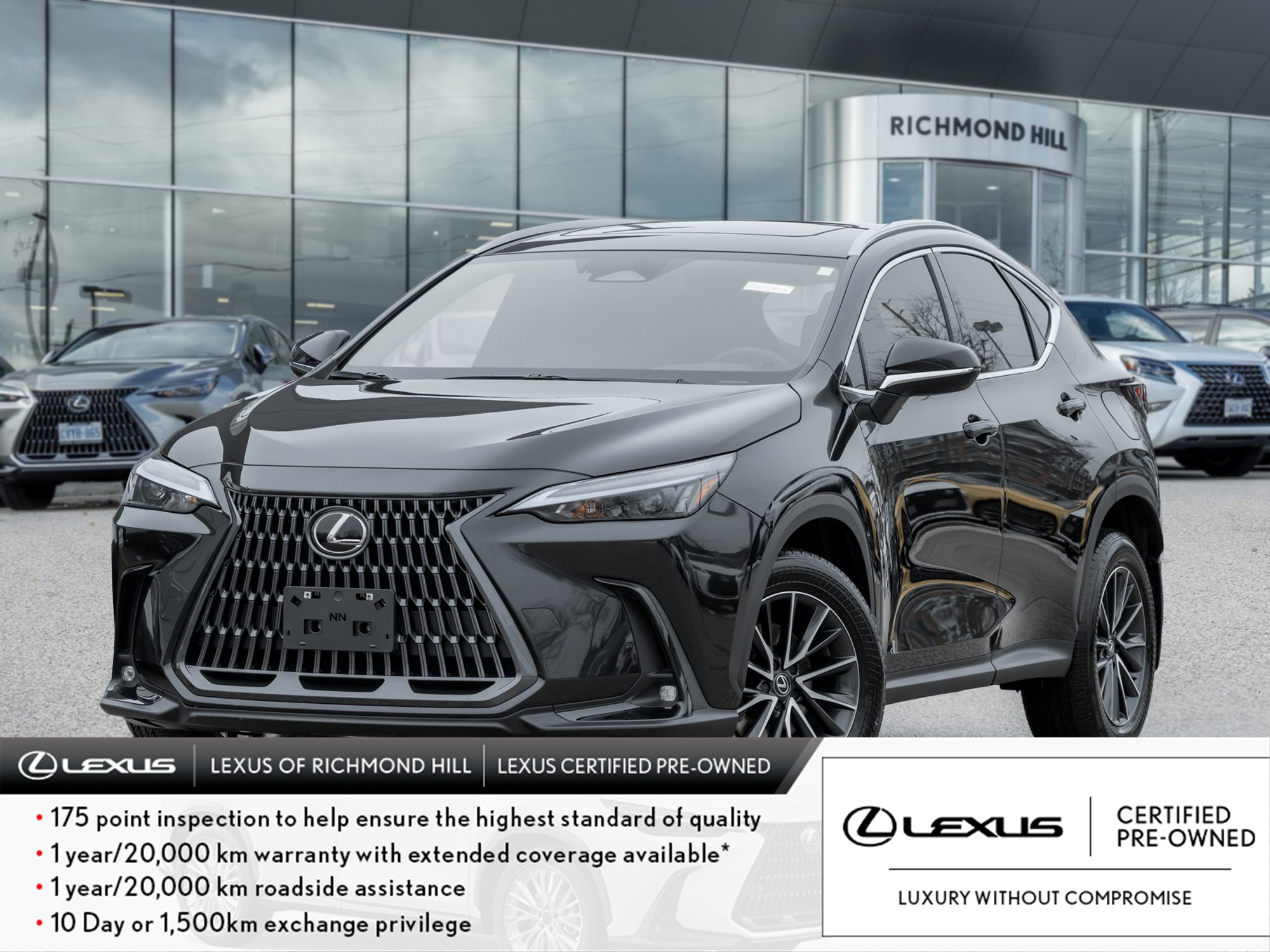 2025 Lexus NX