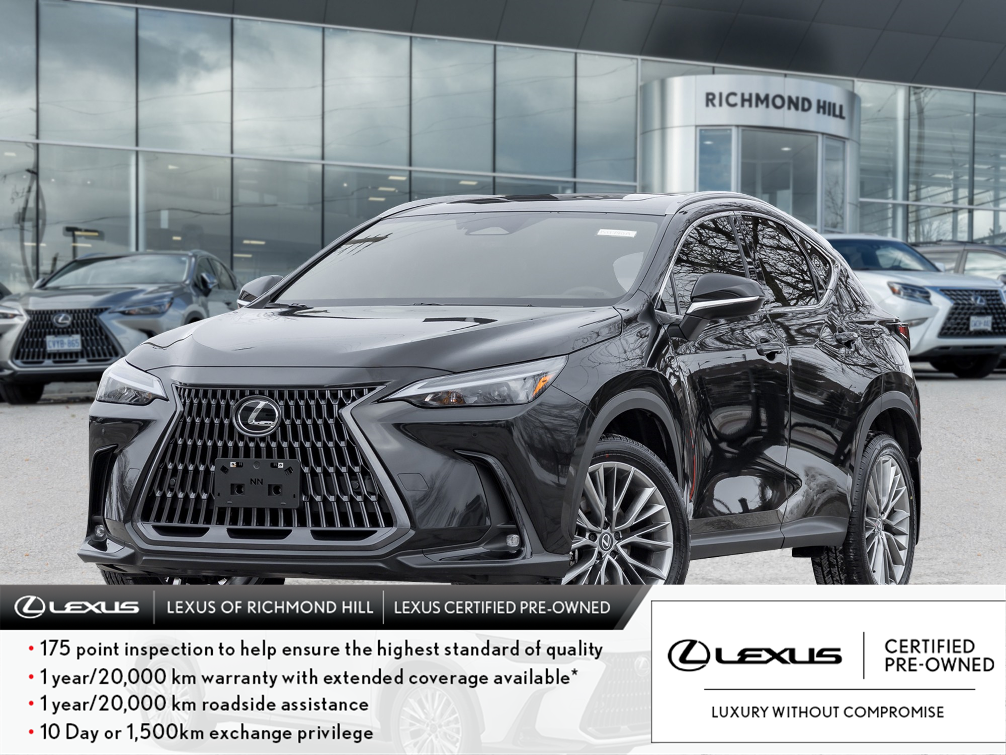 2026 Lexus NX