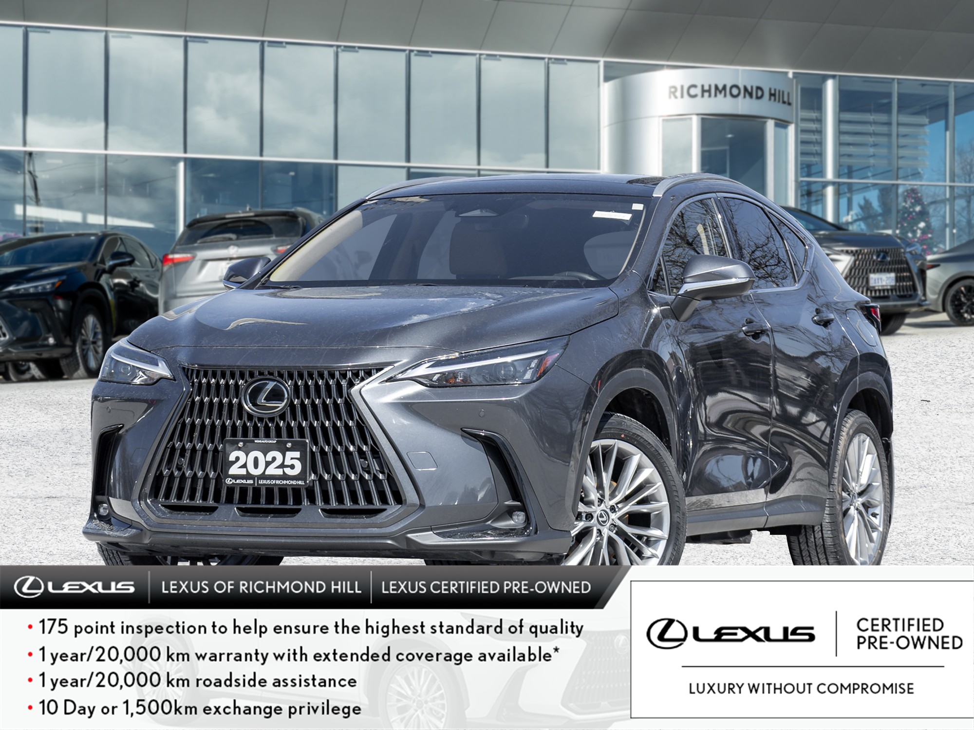 2025 Lexus NX