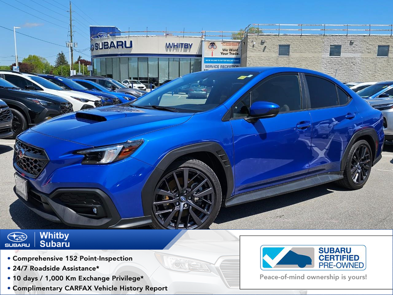 2022 Subaru WRX Sport AWD