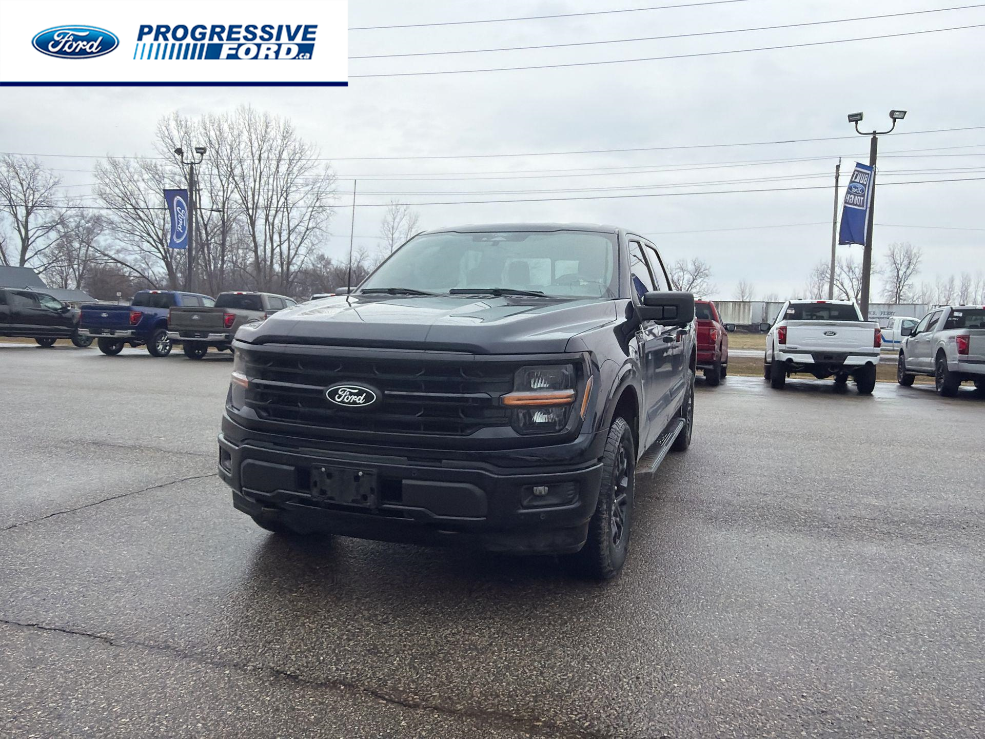 2024 Ford F-150 XLT SuperCrew 4WD