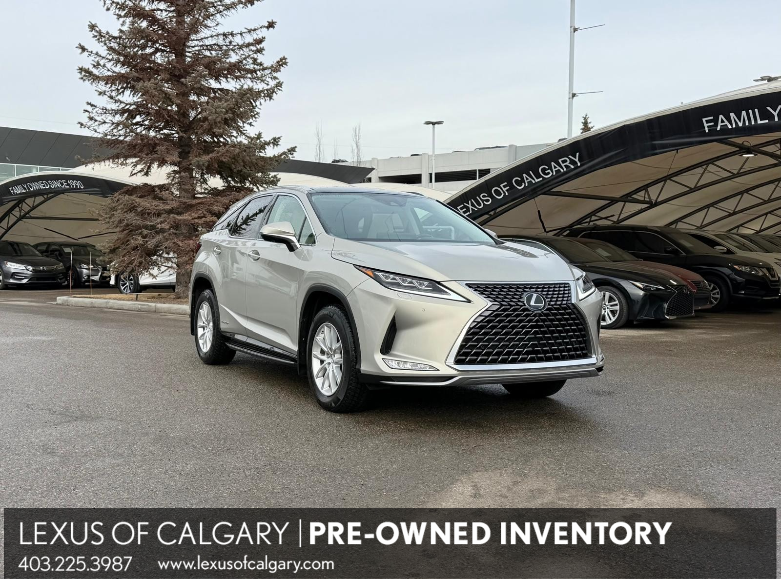 Lexus RX Hybrid 450h AWD