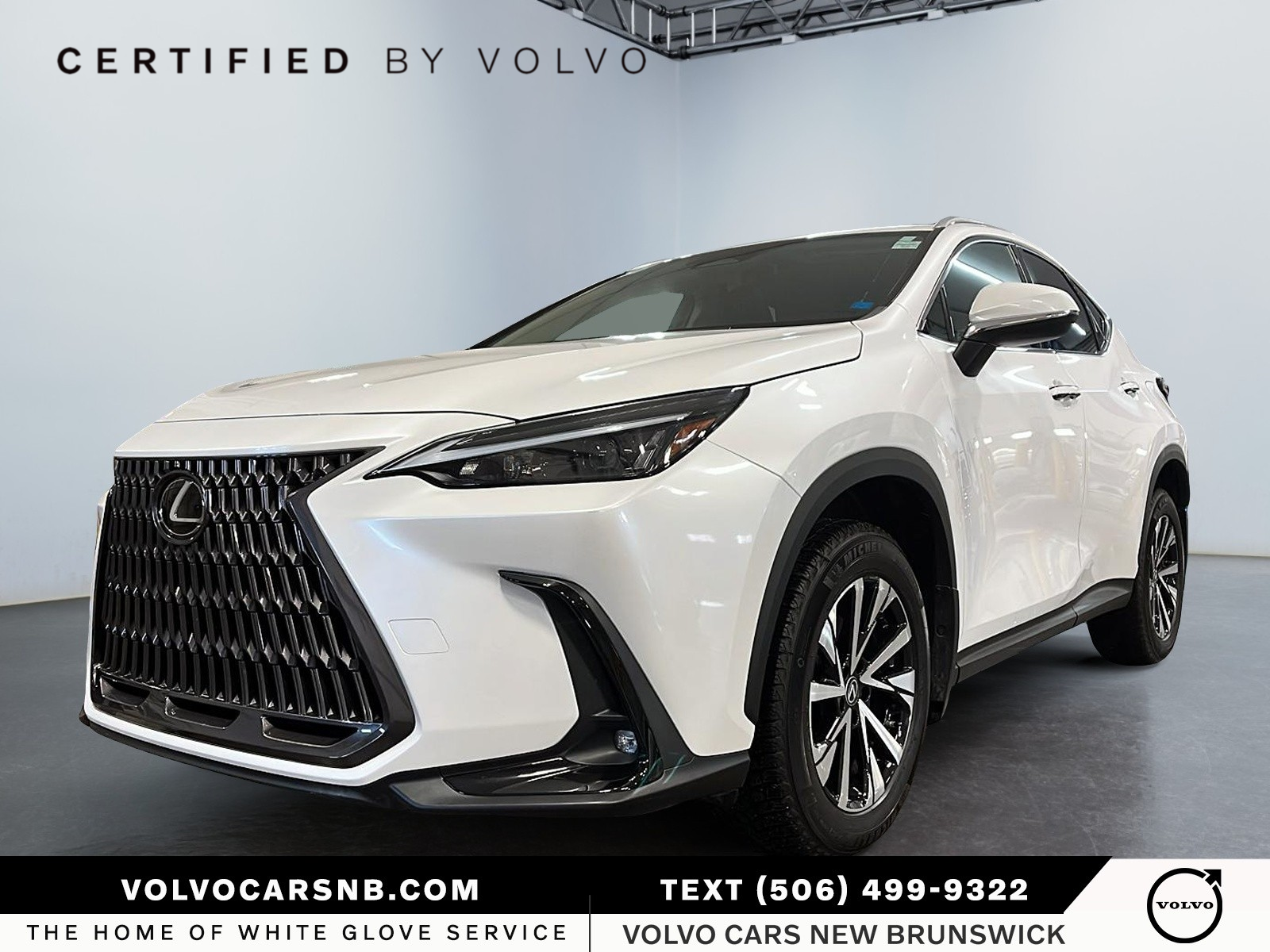 2024 Lexus NX 350h  