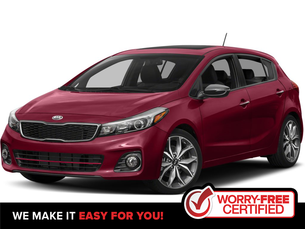 2017 Kia Forte  2.0L EX