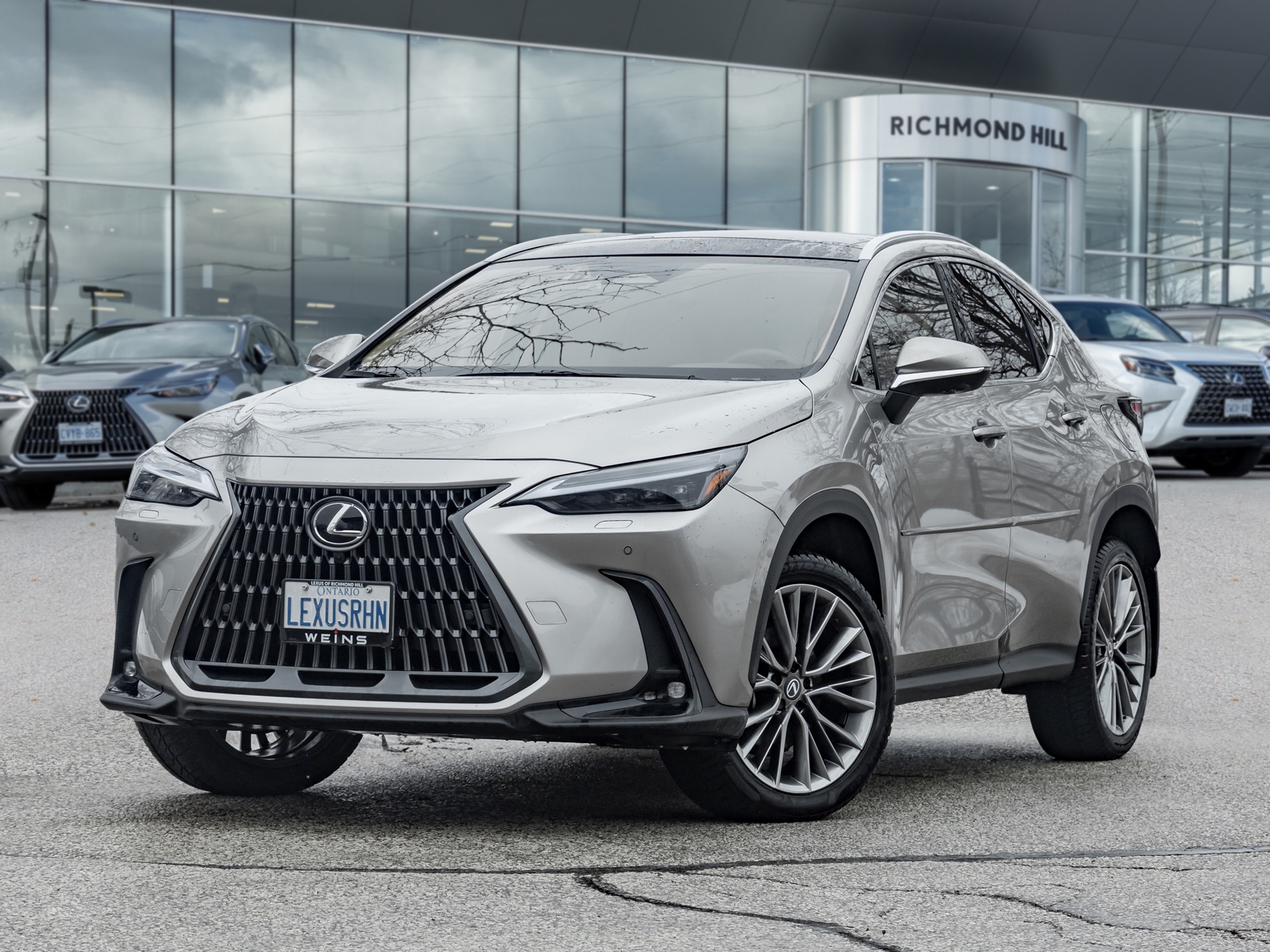 2026 Lexus NX