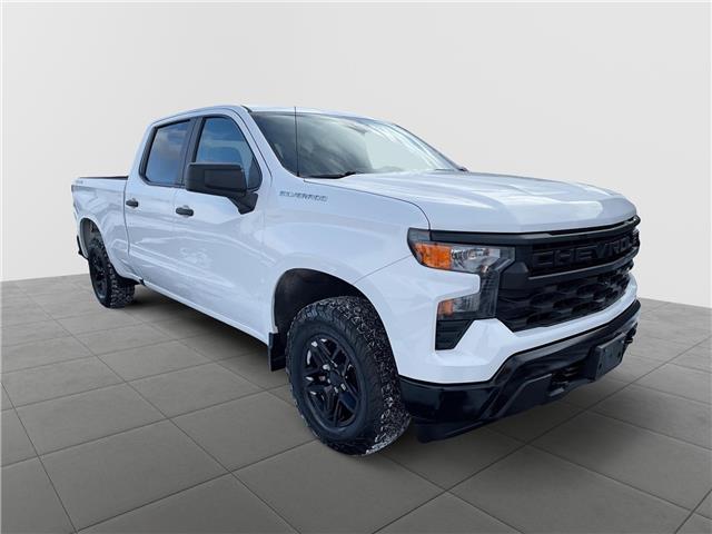 2022 Chevrolet Silverado 1500 Work Truck