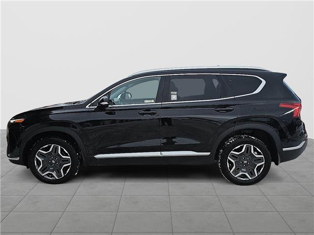 2021 Hyundai Santa Fe HEV Preferred w/Trend Package