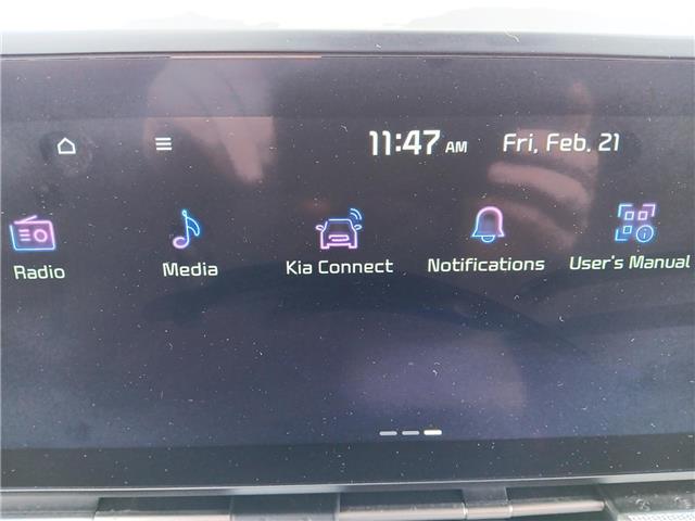 2024 Kia Carnival EX+