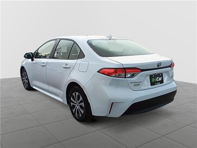 2023 Toyota Corolla Hybrid LE