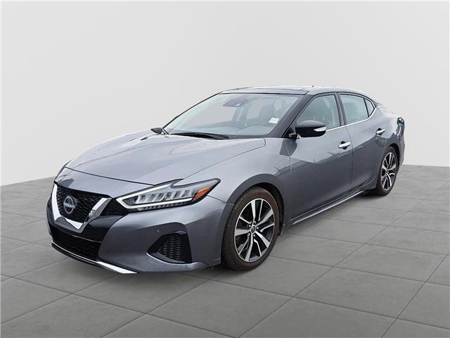 2023 Nissan Maxima SL