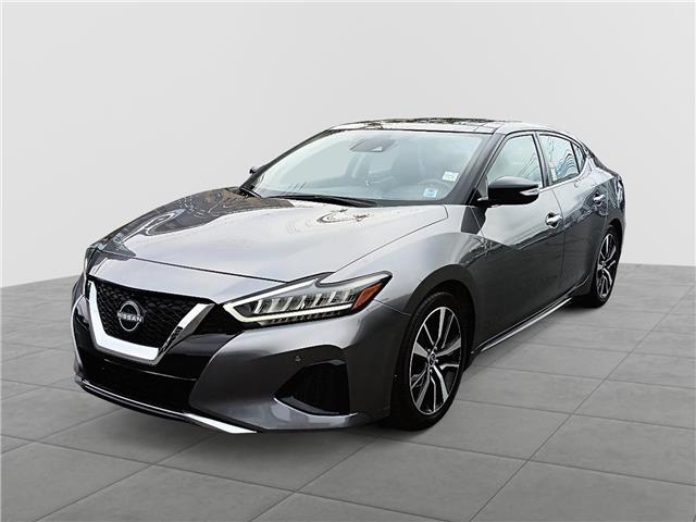 2023 Nissan Maxima SL