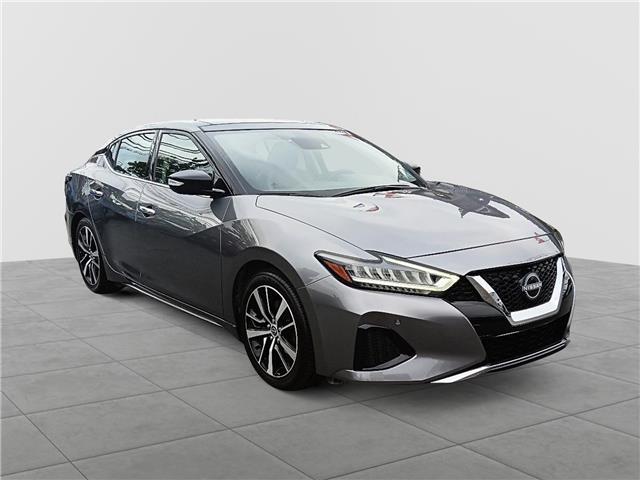 2023 Nissan Maxima SL