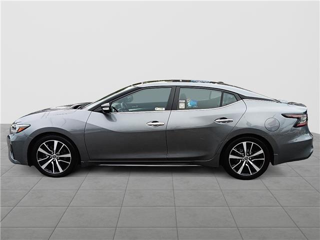 2023 Nissan Maxima SL