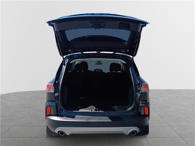 2022 Ford Escape SE Hybrid